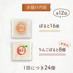 ふるさと納税 佐世保市 【毎月定期便】南蛮菓子...の詳細画像3