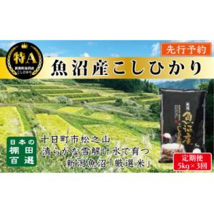 【発送月固定定期便】先行予約10月より発送【食味鑑定士厳選】棚田百選・魚沼こしひかり5kg全3回