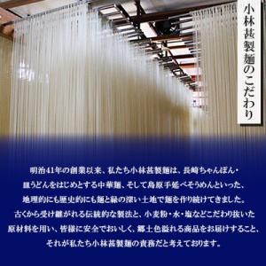 ふるさと納税 南島原市 【毎月定期便】手延べ素...の詳細画像2