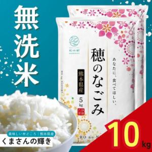 【毎月定期便】熊本県産 くまさんの輝き 無洗米 10kg全6回