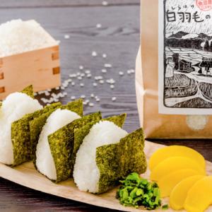 ふるさと納税 十日町市 【毎月定期便】農家直送...の詳細画像1