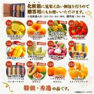 ふるさと納税 宮崎市 【発送月固定定期便】南国...の詳細画像1