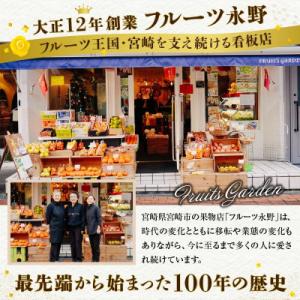 ふるさと納税 宮崎市 【発送月固定定期便】南国...の詳細画像2