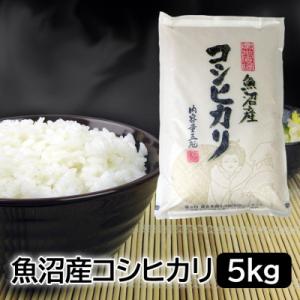 【発送月固定定期便】お米マイスター厳選!魚沼産コシヒカリ 5kg全12回