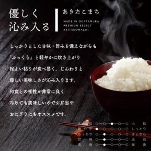 ふるさと納税 大潟村 【毎月定期便】秋田県産あ...の詳細画像1