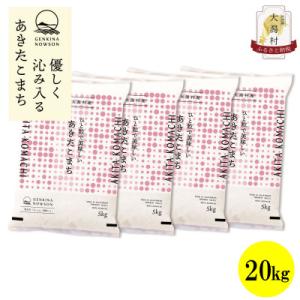 ふるさと納税 大潟村 【毎月定期便】秋田県産あきたこまち無洗米20kg(5kg×4)全12回