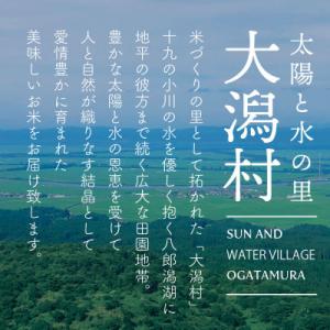 ふるさと納税 大潟村 【毎月定期便】秋田県産あ...の詳細画像2
