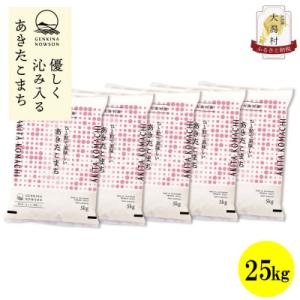 ふるさと納税 大潟村 【毎月定期便】秋田県産あきたこまち無洗米25kg(5kg×5)全12回