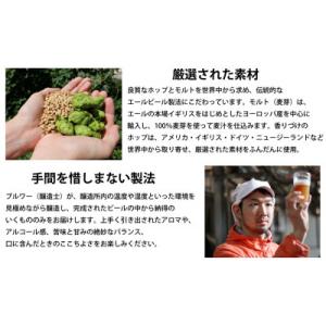 ふるさと納税 佐久市 【毎月定期便】よなよなエ...の詳細画像2