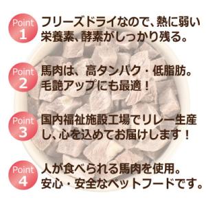 ふるさと納税 泉佐野市 【毎月定期便】馬肉フリ...の詳細画像3