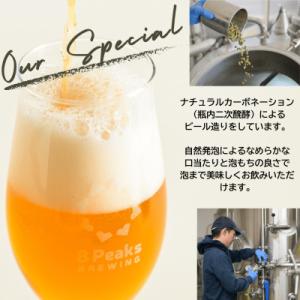 ふるさと納税 茅野市 【毎月定期便】大満足!八...の詳細画像2