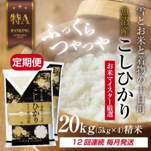 ふるさと納税 十日町市 【毎月定期便】魚沼産 コシヒカリ 20kg 精米 (お米の美味しい炊き方ガイド付)全12回