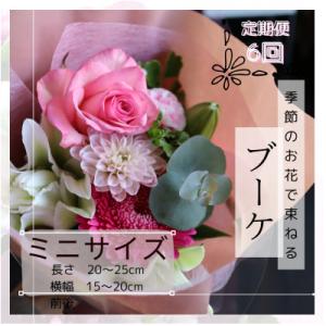 ふるさと納税 筑西市 【毎月定期便】季節のお花で...の商品画像