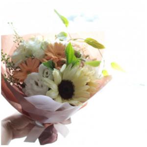 ふるさと納税 筑西市 【毎月定期便】季節のお花...の詳細画像3