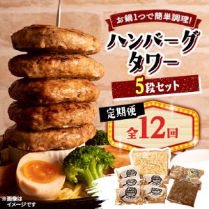 ふるさと納税 帯広市 【毎月定期便】ハンバーグタワーセット 5段(パスタ・ポテト付き)全12回
