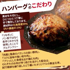 ふるさと納税 帯広市 【毎月定期便】ハンバーグ...の詳細画像2