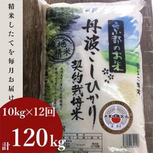 【毎月定期便】京都丹波産 お米 コシヒカリ 精米 10kg 米定期便 12ヶ月 全12回