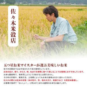 ふるさと納税 盛岡市 【毎月定期便】あきたこま...の詳細画像1