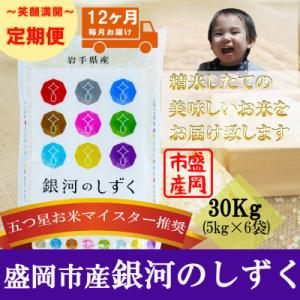 ふるさと納税 盛岡市 【毎月定期便】銀河のしずく 30kg全12回