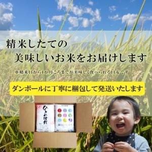 ふるさと納税 盛岡市 【毎月定期便】無洗米 2...の詳細画像3