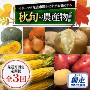 ふるさと納税 網走市 【発送月固定定期便】オホーツク産直市場かにやがお勧めする秋が旬の農産物定期便全...