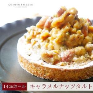 ふるさと納税 平戸市 【毎月定期便】ナッツ好きさんのためのキャラメルナッツタルト 1ホール(14cm)全12回