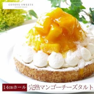 ふるさと納税 平戸市 【毎月定期便】完熟マンゴーチーズタルト 1ホール(14cm)全12回