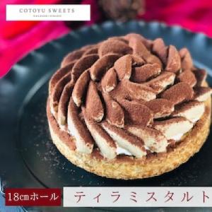ふるさと納税 平戸市 【毎月定期便】ほろにがティラミスタルト 1ホール(18cm)全12回