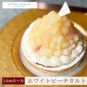 ふるさと納税 平戸市 【毎月定期便】白桃チーズタルト1ホール(14cm)全12回