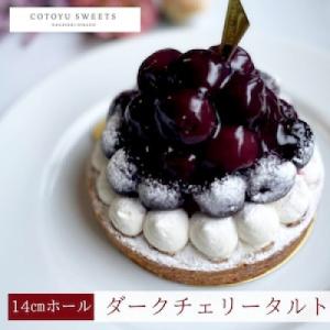 ふるさと納税 平戸市 【毎月定期便】贅沢ダークチェリータルト 1ホール(14cm)全12回