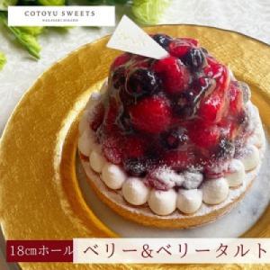 ふるさと納税 平戸市 【毎月定期便】ブルーベリー&ラズベリーチーズタルト1ホール(18cm)全12回