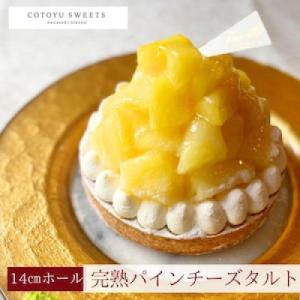 ふるさと納税 平戸市 【毎月定期便】完熟パインチーズタルト1ホール(14cm)全12回
