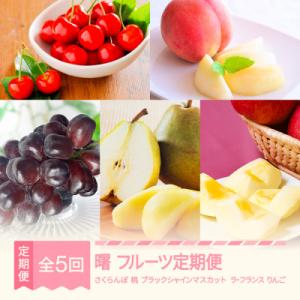 ふるさと納税 村山市 【発送月固定定期便】フルーツ定期便【曙】全5回