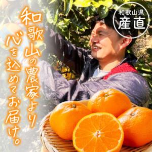 ふるさと納税 上富田町 【発送月固定定期便】わ...の詳細画像1