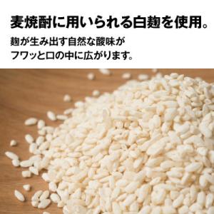 ふるさと納税 壱岐市 【毎月定期便】クラフトビ...の詳細画像2