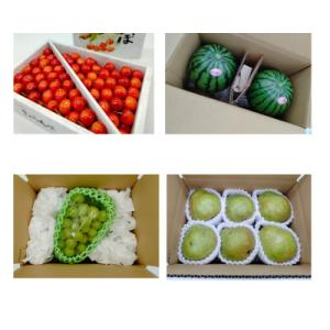 ふるさと納税 山形県 【発送月固定定期便】やま...の詳細画像1
