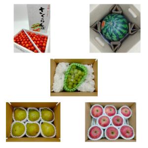 ふるさと納税 山形県 【発送月固定定期便】やま...の詳細画像1