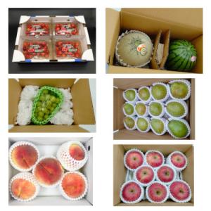ふるさと納税 山形県 【発送月固定定期便】豪華...の詳細画像1