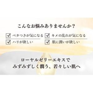 ふるさと納税 鏡野町 【毎月定期便】RJクリー...の詳細画像1