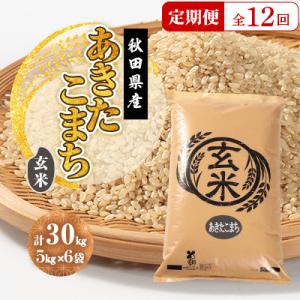 ふるさと納税 大潟村 【毎月定期便】あきたこまち 玄米 30kg(5kg×6袋)全12回