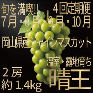 ふるさと納税 浅口市 【発送月固定定期便】HS7月8月9月10月発送温室・露地晴王2房約1.4kg全4回
