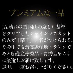 ふるさと納税 浅口市 【発送月固定定期便】HS...の詳細画像1