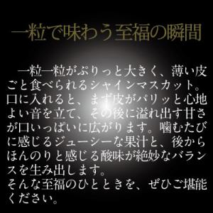 ふるさと納税 浅口市 【発送月固定定期便】HS...の詳細画像2