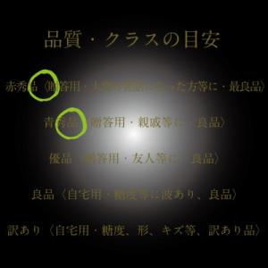 ふるさと納税 浅口市 【発送月固定定期便】HS...の詳細画像3