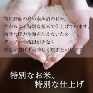 ふるさと納税 南魚沼市 【毎月定期便】【吟精無...の詳細画像3