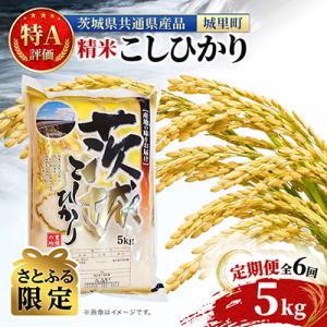 ふるさと納税 水戸市 【毎月定期便】【さとふる限定】特A評価 茨城産 コシヒカリ お米 5kg×全6回(米 計30kg)