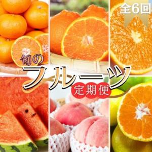 ふるさと納税 太地町 【発送月固定定期便】旬のフルーツ定期便〜和歌山の旬をお届け〜【tkb314】全6回