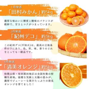 ふるさと納税 太地町 【発送月固定定期便】旬の...の詳細画像1