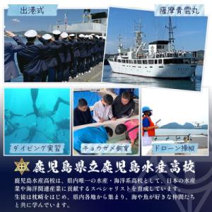 ふるさと納税 枕崎市 【毎月定期便】水産高校生...の詳細画像3