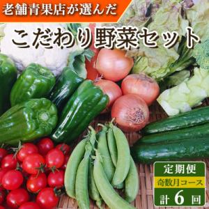 【発送月固定定期便】こだわり野菜セット 7～8品目 詰め合わせ (時津町)全6回